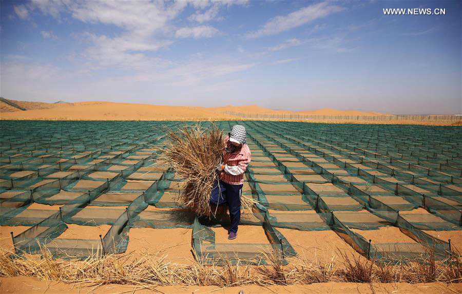 CHINA-NINGXIA-DESERTIFICATION CONTROL-HIGHWAY (CN)