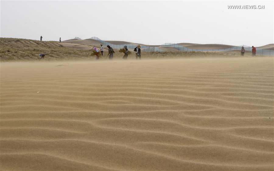 CHINA-NINGXIA-DESERTIFICATION CONTROL-HIGHWAY (CN)