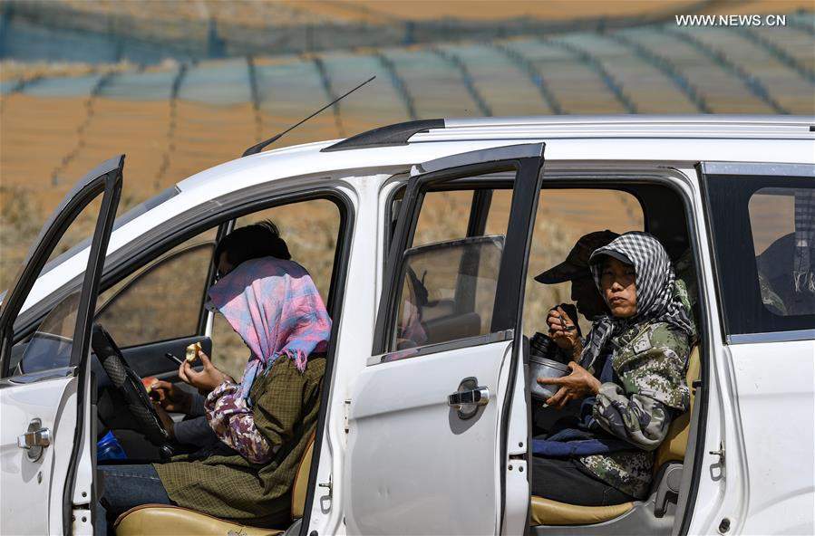 CHINA-NINGXIA-DESERTIFICATION CONTROL-HIGHWAY (CN)