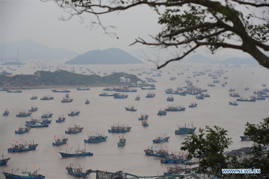 #CHINA-EAST CHINA SEA-FISHING SEASON(CN)