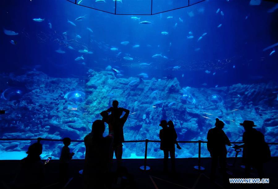 CHINA-HONG KONG-OCEAN PARK-REOPEN (CN)