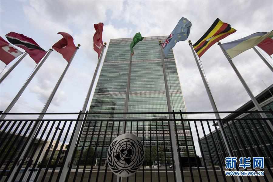 �����ʣ���5���۽����Ϲ��ܲ�