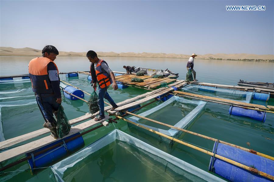 CHINA-XINJIANG-YULI-LOP LAKE-CRAB CATCHER (CN)