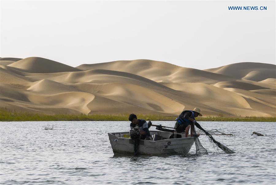 CHINA-XINJIANG-YULI-LOP LAKE-CRAB CATCHER (CN)