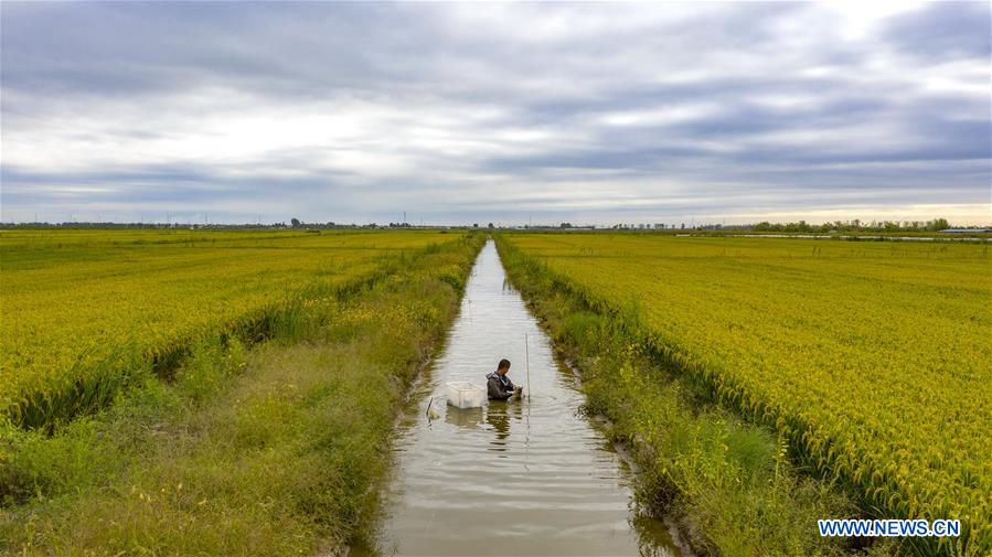 CHINA-HEBEI-TANGSHAN-ECO AGRICULTURE (CN)