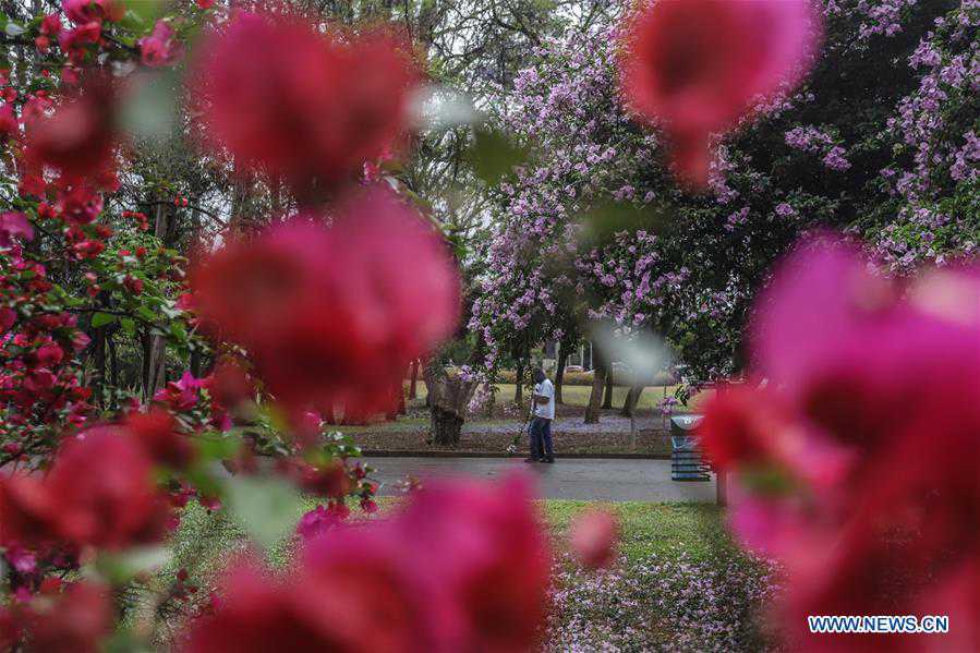 BRAZIL-SAO PAULO-SPRING EQUINOX