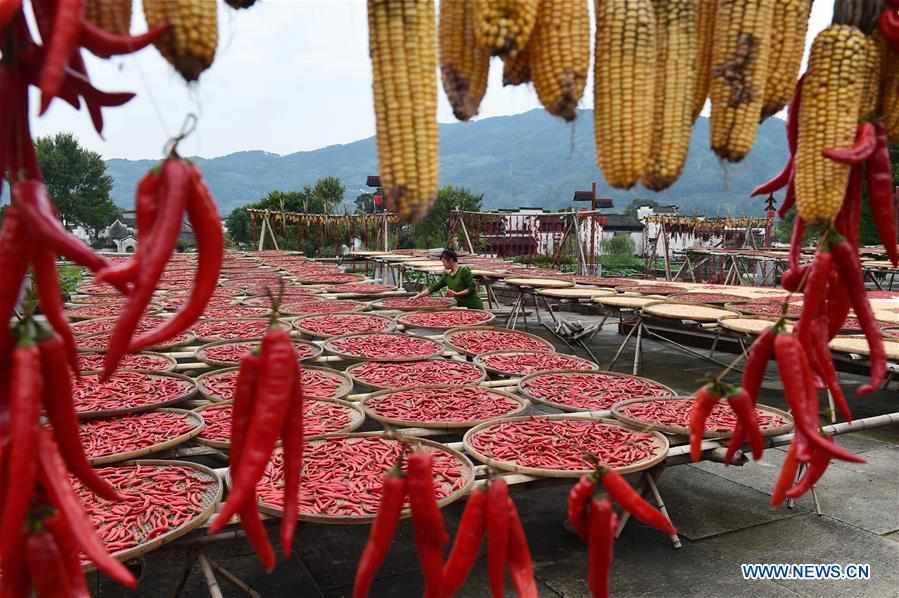 CHINA-ANHUI-CROPS-AIRING (CN)