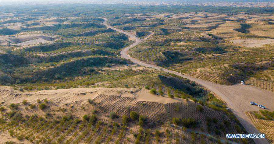 CHINA-INNER MONGOLIA-KUBUQI DESERT-AFFORESTATION (CN)