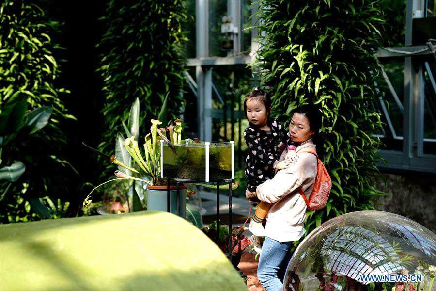 CHINA-SHANGHAI-INSECTIVOROUS PLANT EXHIBITION (CN)