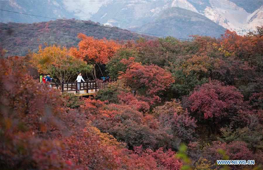 CHINA-BEIJING-POFENGLING SCENIC AREA-AUTUMN COLORS (CN)