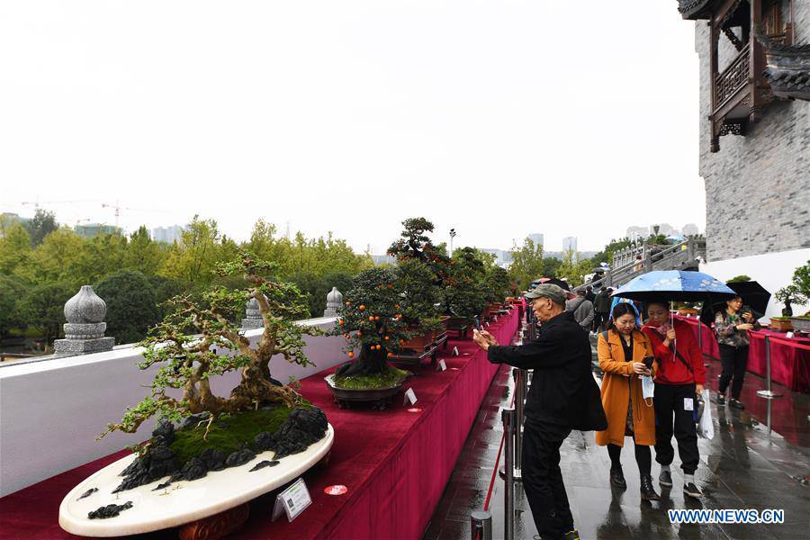 CHINA-CHONGQING-FLORAL ART EXPO (CN)