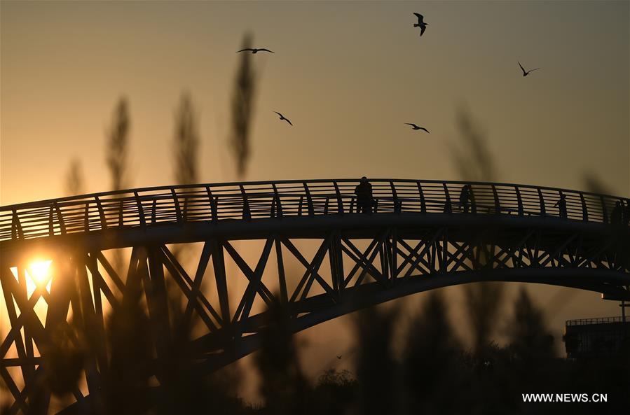 CHINA-NINGXIA-PINGLUO-SHAHU LAKE-SCENERY (CN)