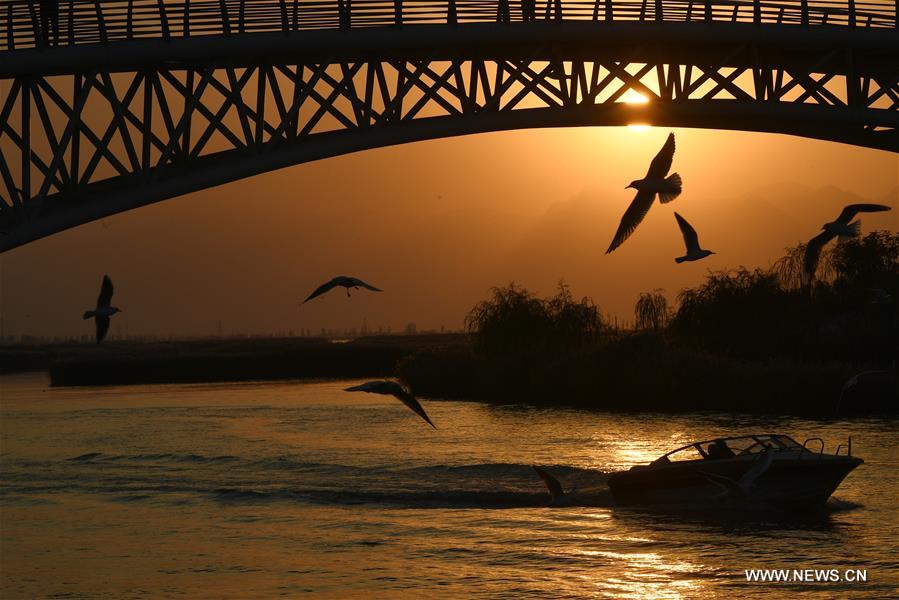 CHINA-NINGXIA-PINGLUO-SHAHU LAKE-SCENERY (CN)