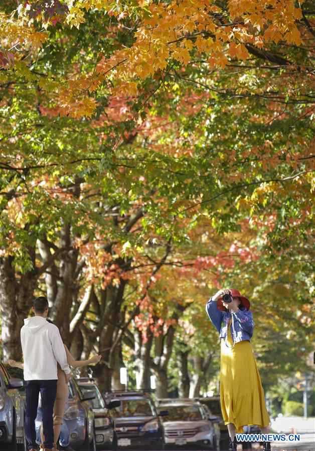CANADA-VANCOUVER-AUTUMN-FOLIAGE