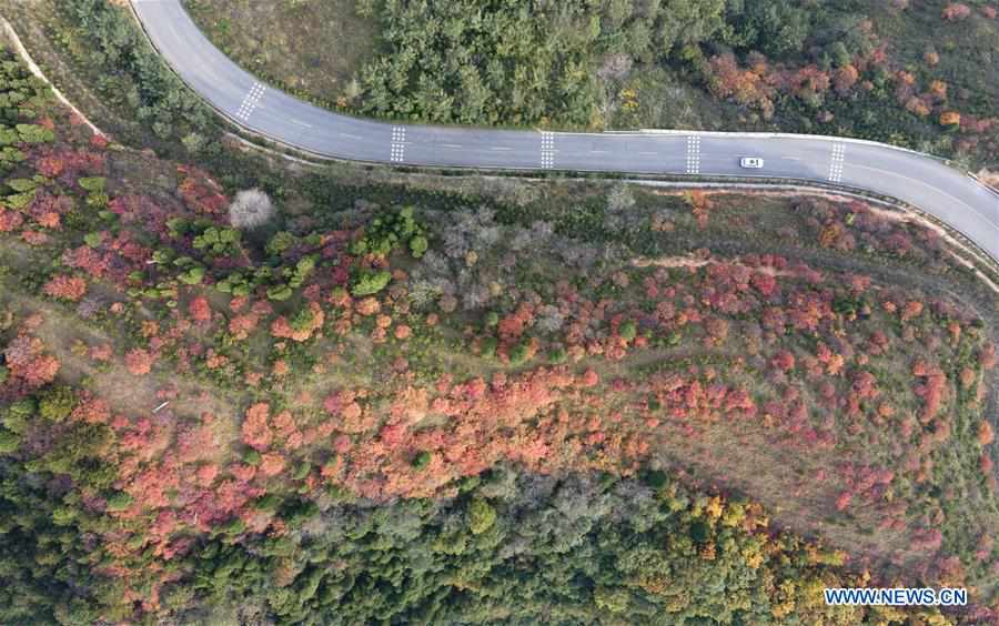 CHINA-SHAANXI-QINLING MOUNTAINS-LANDSCAPE (CN)