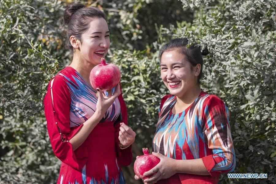 CHINA-XINJIANG-TIANSHAN MOUNTAINS-HARVEST (CN)