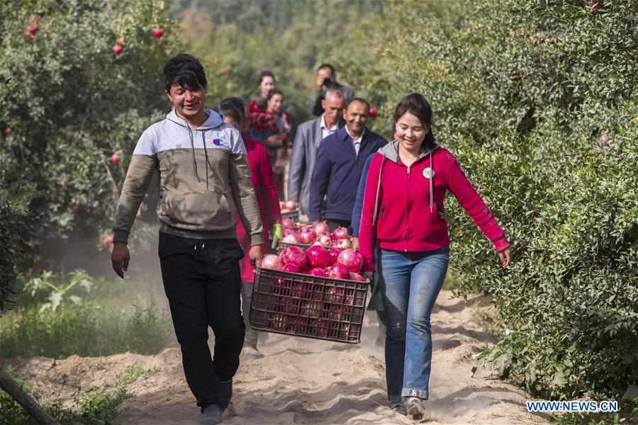 CHINA-XINJIANG-TIANSHAN MOUNTAINS-HARVEST (CN)