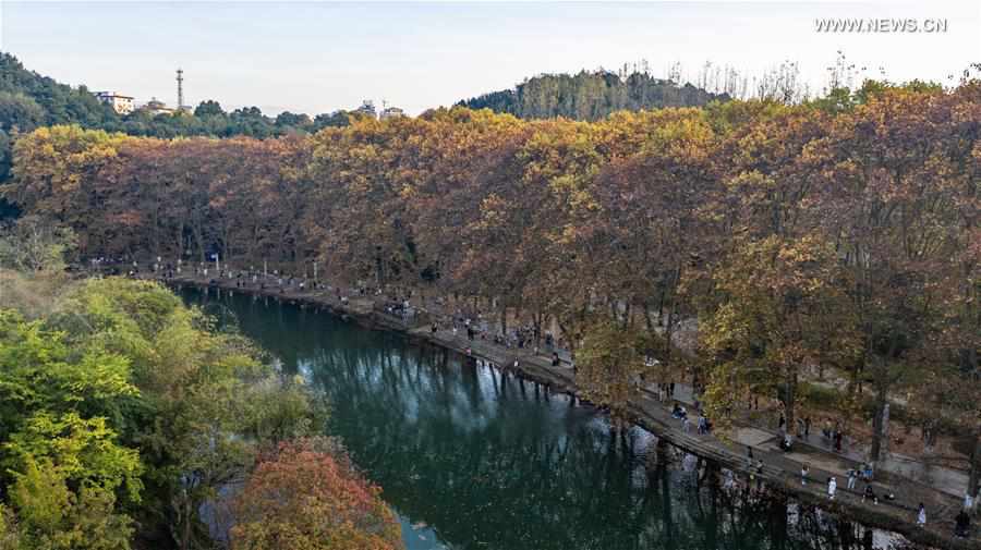 CHINA-GUIYANG-AUTUMN SCENERY (CN)