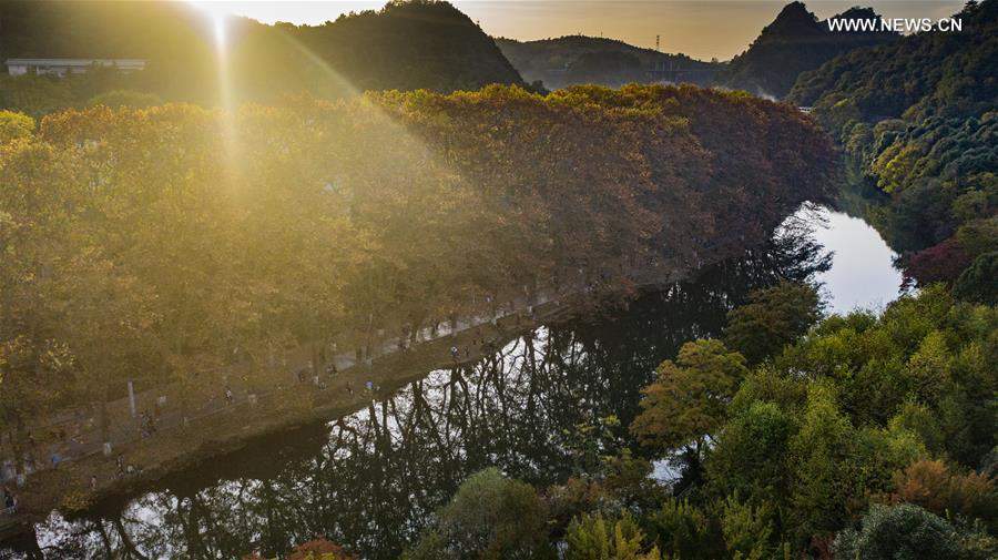 CHINA-GUIYANG-AUTUMN SCENERY (CN)