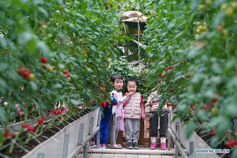 CHINA-JIANGSU-XUZHOU-AGRITOURISM (CN)