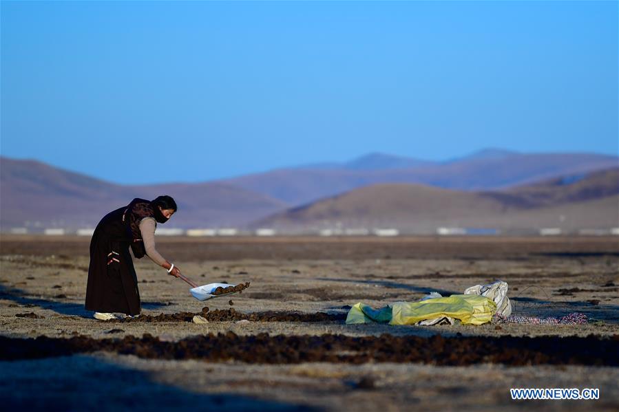 CHINA-QINGHAI-JIATANG GRASSLAND-HUSBANDRY (CN)