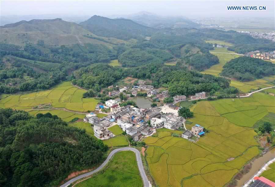 CHINA-GUANGXI-BINYANG-RURAL SCENERY (CN)