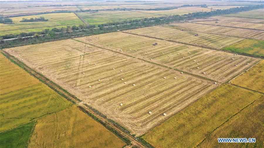 CHINA-JIANGXI-NANCHANG-STRAW RECYCLING (CN)