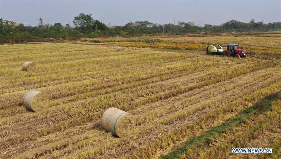 CHINA-JIANGXI-NANCHANG-STRAW RECYCLING (CN)