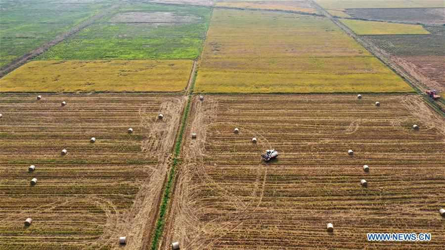 CHINA-JIANGXI-NANCHANG-STRAW RECYCLING (CN)