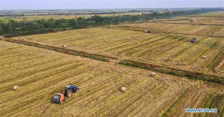 CHINA-JIANGXI-NANCHANG-STRAW RECYCLING (CN)