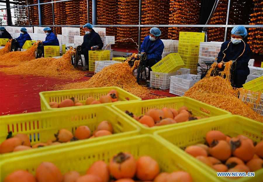 CHINA-SHAANXI-DRIED PERSIMMONS (CN)