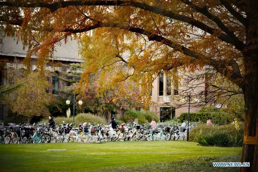 CHINA-BEIJING-TSINGHUA UNIVERSITY-CAMPUS-AUTUMN (CN)