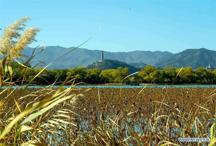 CHINA-BEIJING-SUMMER PALACE-EARLY WINTER SCENERY (CN)