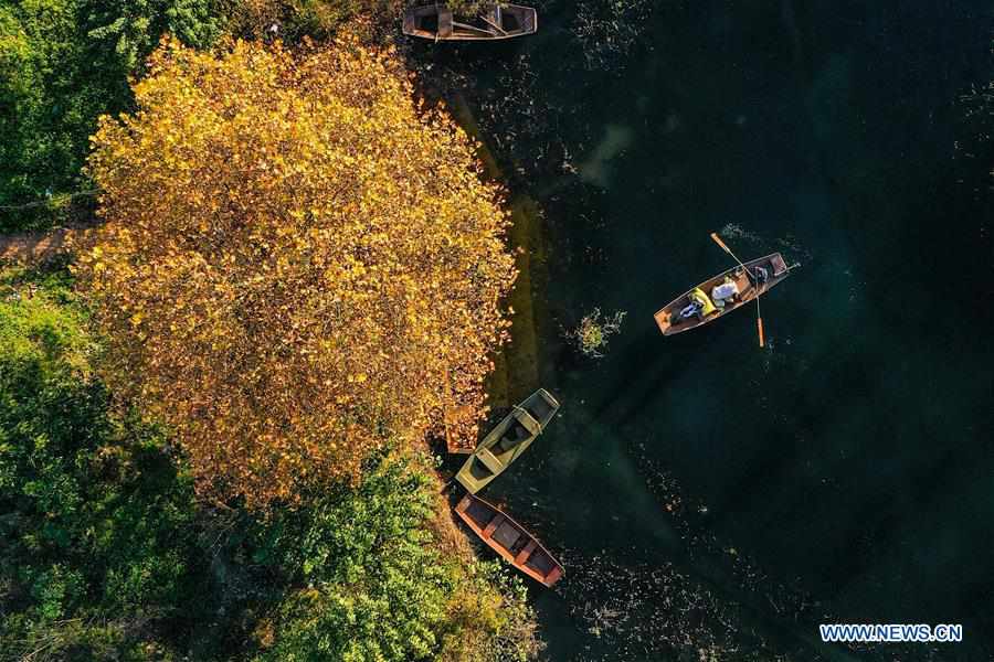 CHINA-GUIZHOU-AHA LAKE-WETLAND-LANDSCAPE (CN)