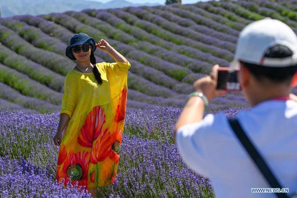 Tourists visit lavender farm in Huocheng County, Xinjiang