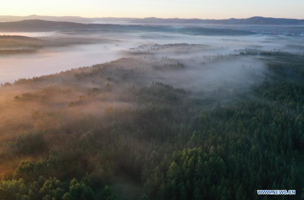 Scenery in Saihanba National Forest Park, Hebei