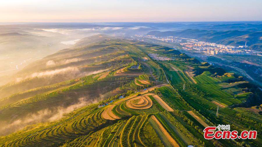 Must See in China: amazing terraces in Ningxia