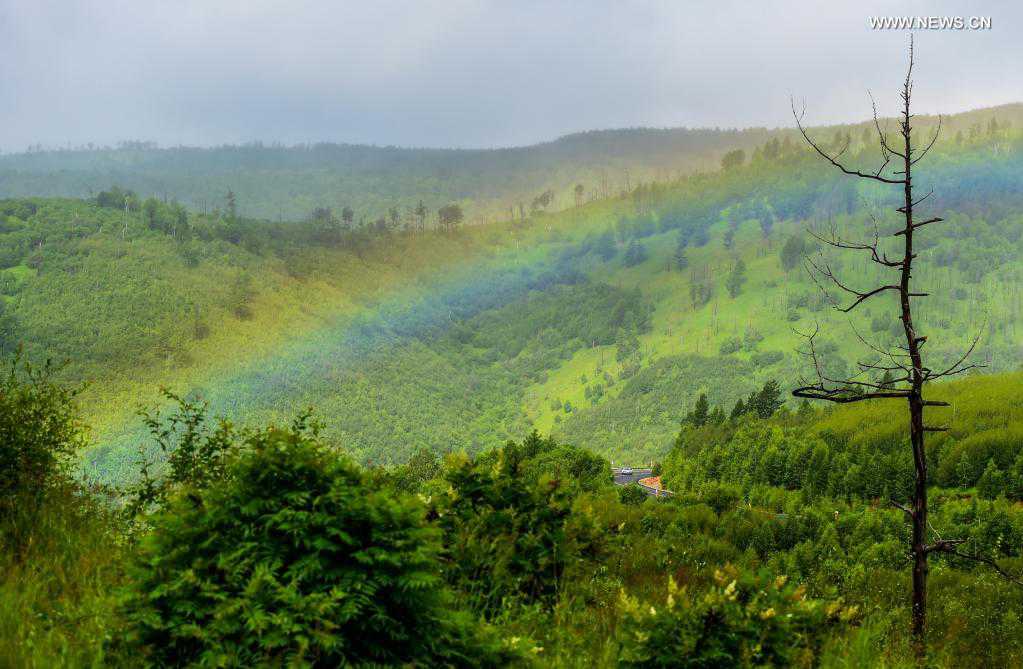 Scenery of Arxan National Forest Park, north China's Inner Mongolia