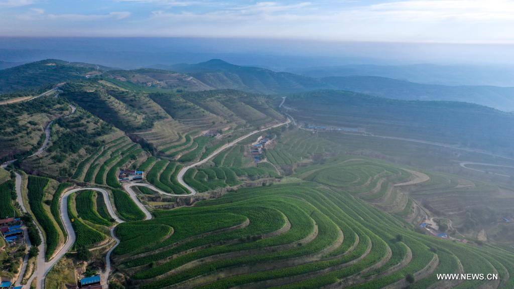 Terraced fields in Pengyang County, China's Ningxia