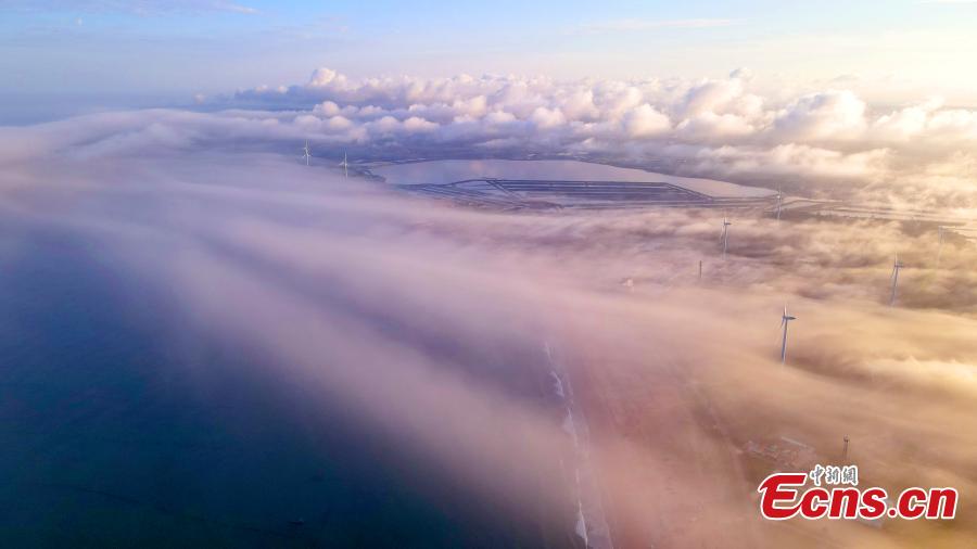 Advection fog hits island of Shandong