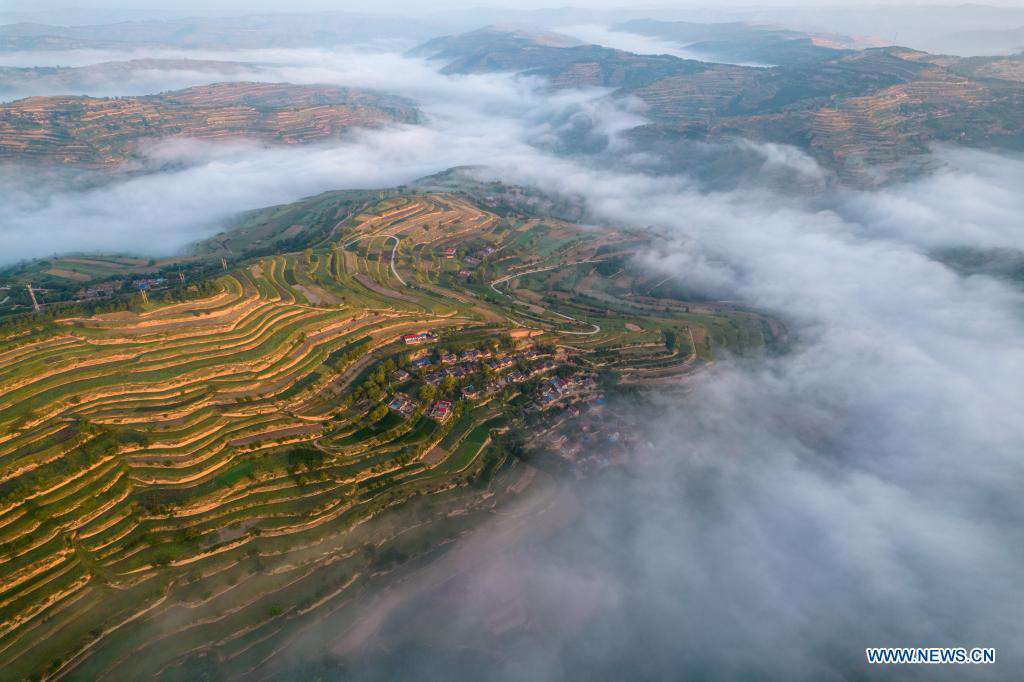 Sea of clouds in Chenshan Village, NW China