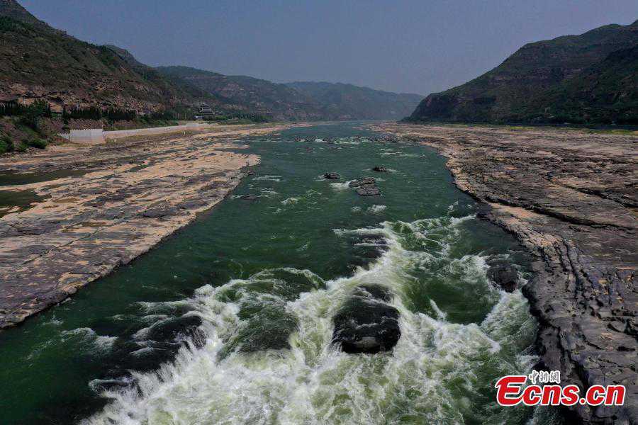 Hukou Waterfall of the Yellow River turns green in N China's Shanxi