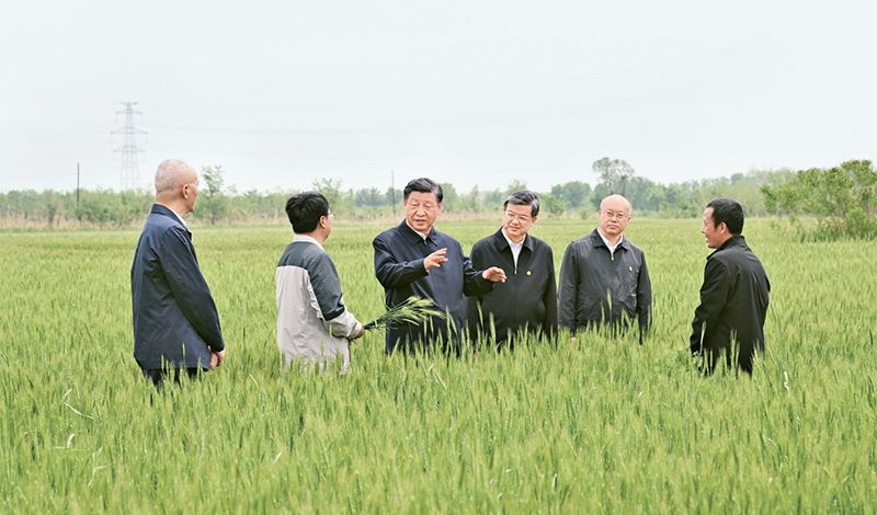 2023年5月11日至12日，中共中央總書記、國家主席、中央軍委主席習近平在河北考察，並主持召開深入推進京津冀協同發展座談會。這是11日上午，習近平在滄州市黃驊市舊城鎮仙庄片區旱鹼地麥田考察時，同種植戶、農技專家親切交流。 新華社記者 李學仁/攝