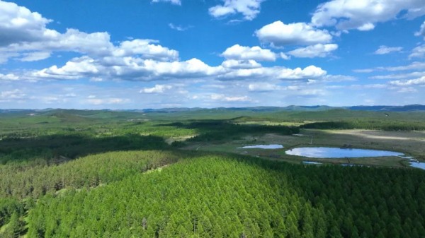 塞罕坝机械林场林海叠翠,一望无际。 塞罕坝机械林场林海叠翠,一望无际。