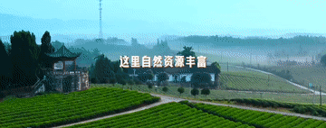 17990474853893720032.gif