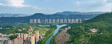 11036261453608104465.gif