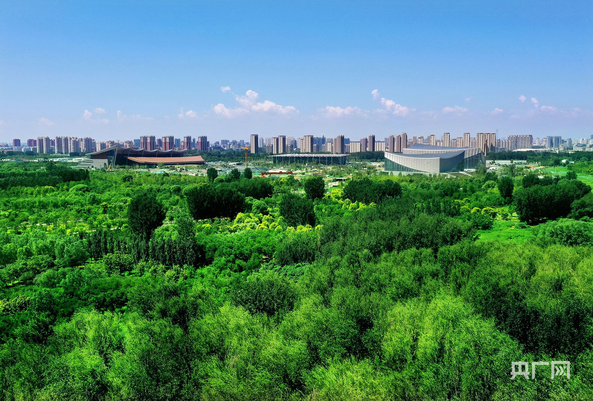 2023年8月,城市绿心森林公园(央广网发 马文晓 摄) 2023年8月,城市绿心森林公园(央广网发 马文晓 摄)