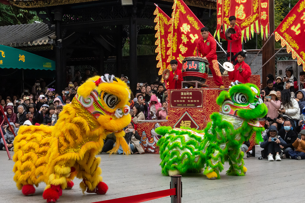 图为广东省佛山市祖庙的醒狮表演。 图为广东省佛山市祖庙的醒狮表演。