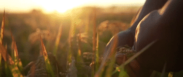 10253574160527119519.gif