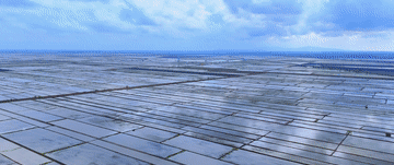 16978146199927130730.gif